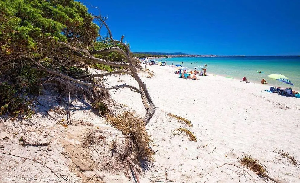 Appartamento A Pochi Passi Dalla Spiaggia Alghero 0*,  Italy